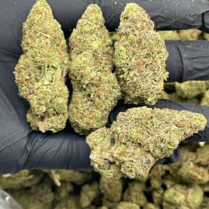 AK 47 Kush