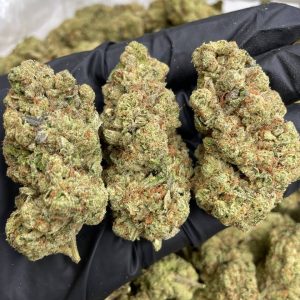 Afghan Kush