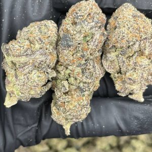 Gorilla Glue 4