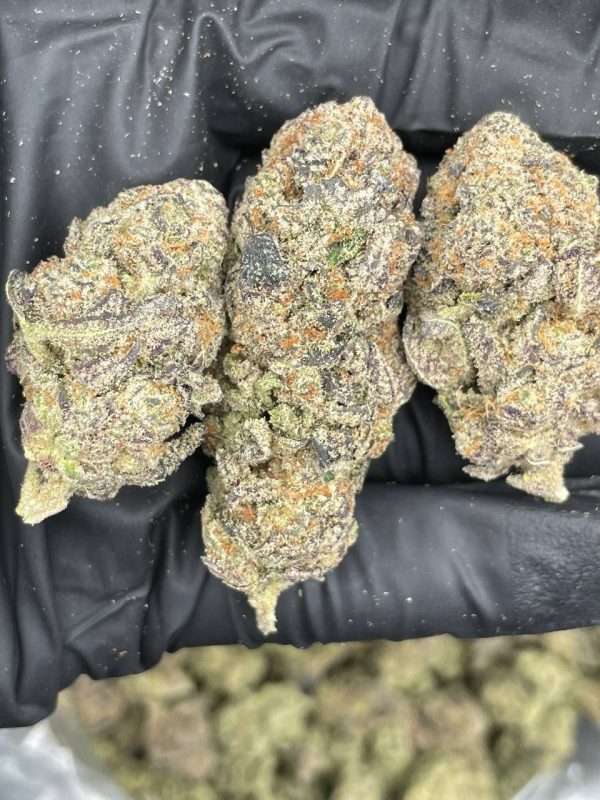 Gorilla Glue 4