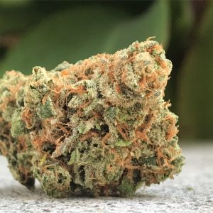 Maui Wowie Strain