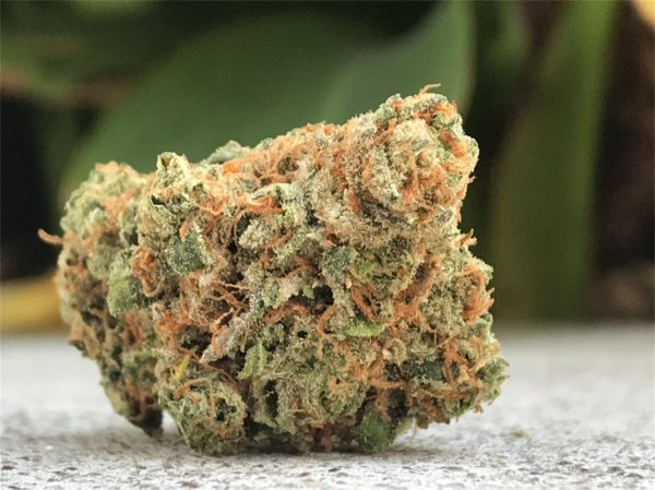 Maui Wowie Strain