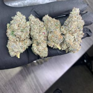 Northern Lights strain