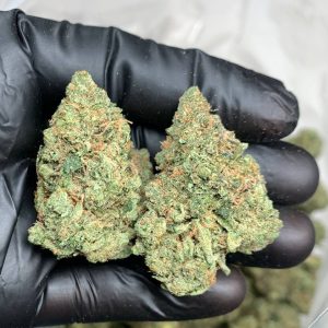 Super Silver Haze