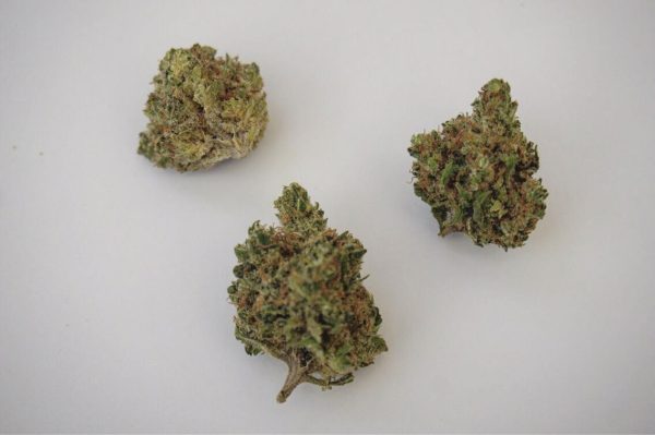 Vanilla Kush