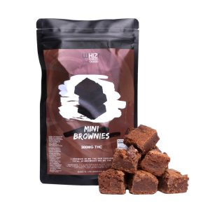 Whiz Edibles Mini Brownies
